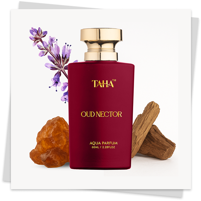 OUD NECTOR
